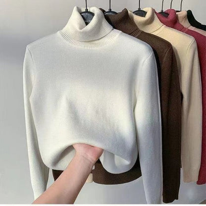 Turtleneck Winter Sweater